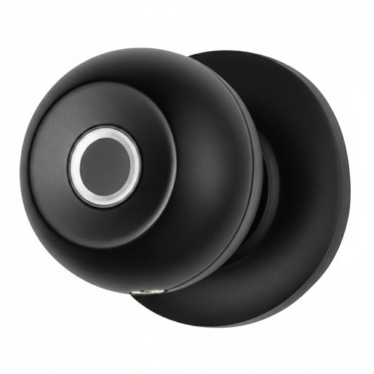 Black door handle with a silver center on a white background